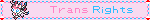 Trans rights Sylveon blinkie