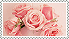 Roses stamp