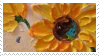 Sunflowers stamp